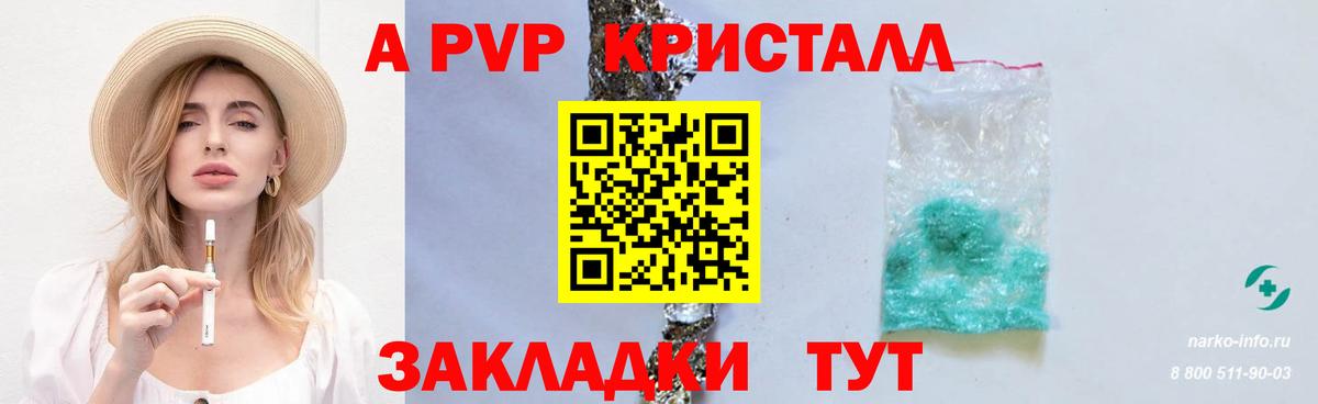 Альфа ПВП СК КРИС Елец