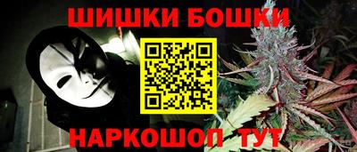 a pvp Гатчина