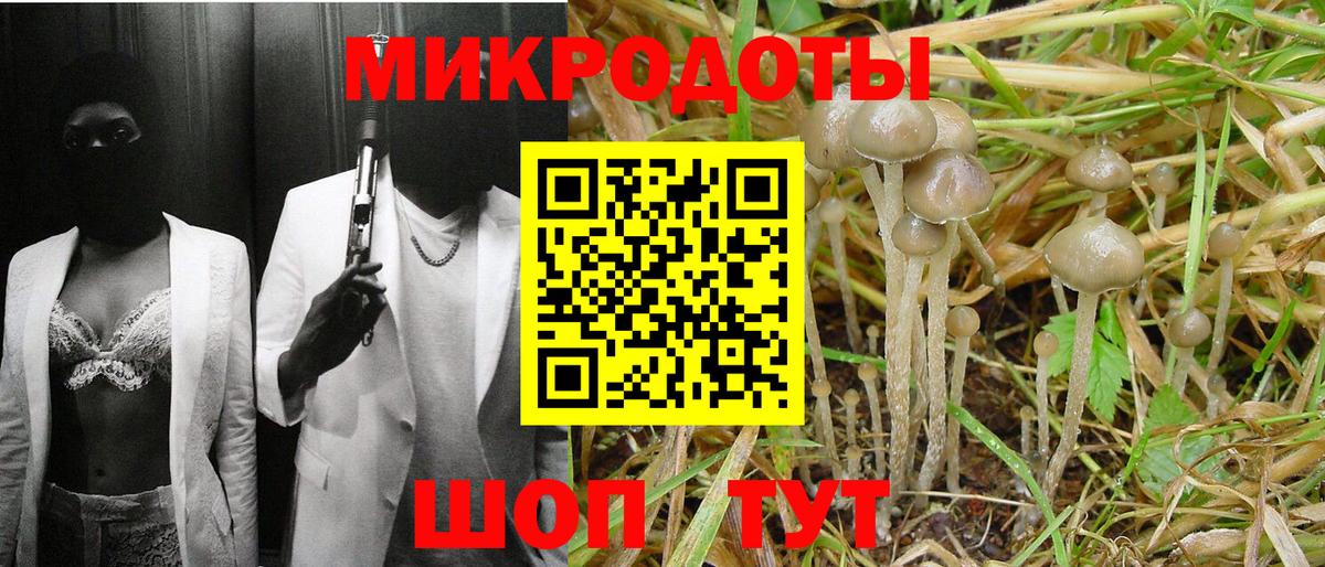 Псилоцибиновые грибы прущие грибы Елец