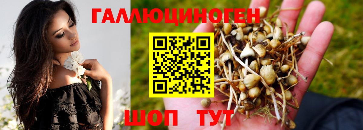 Елец  Псилоцибиновые грибы мухоморы  Вход с VPN  Галлюциногенные грибы MAGIC MUSHROOMS 